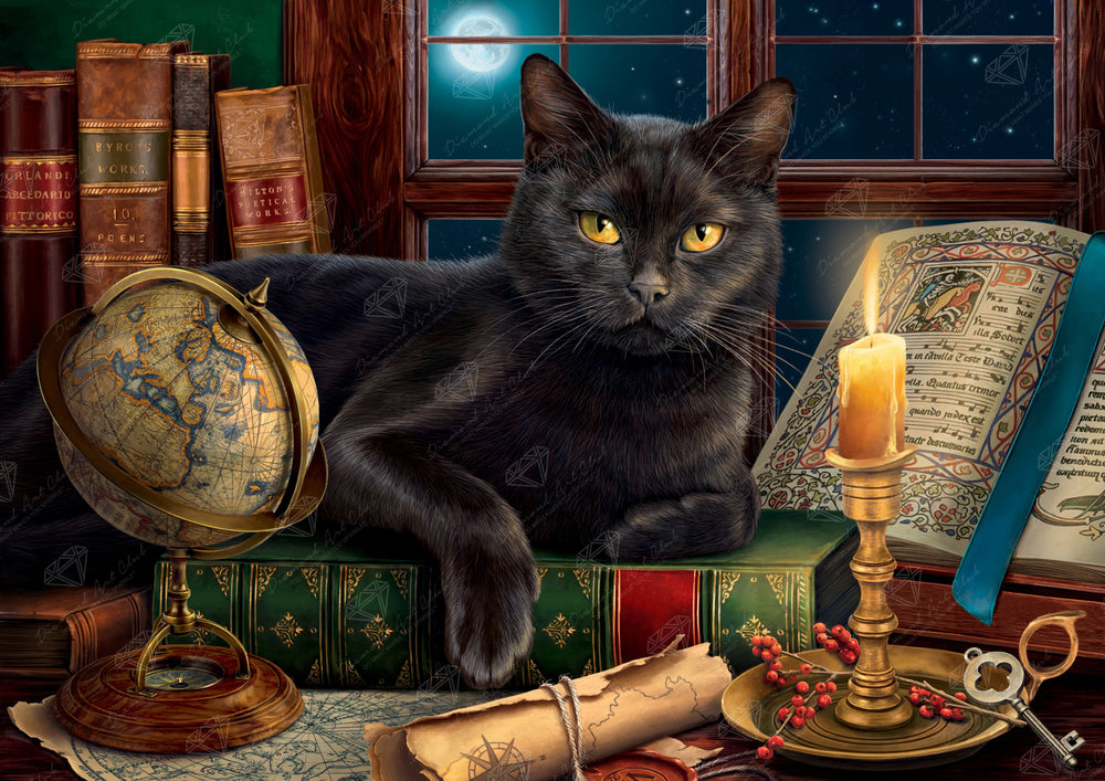 Black Cat by Candlelight B3