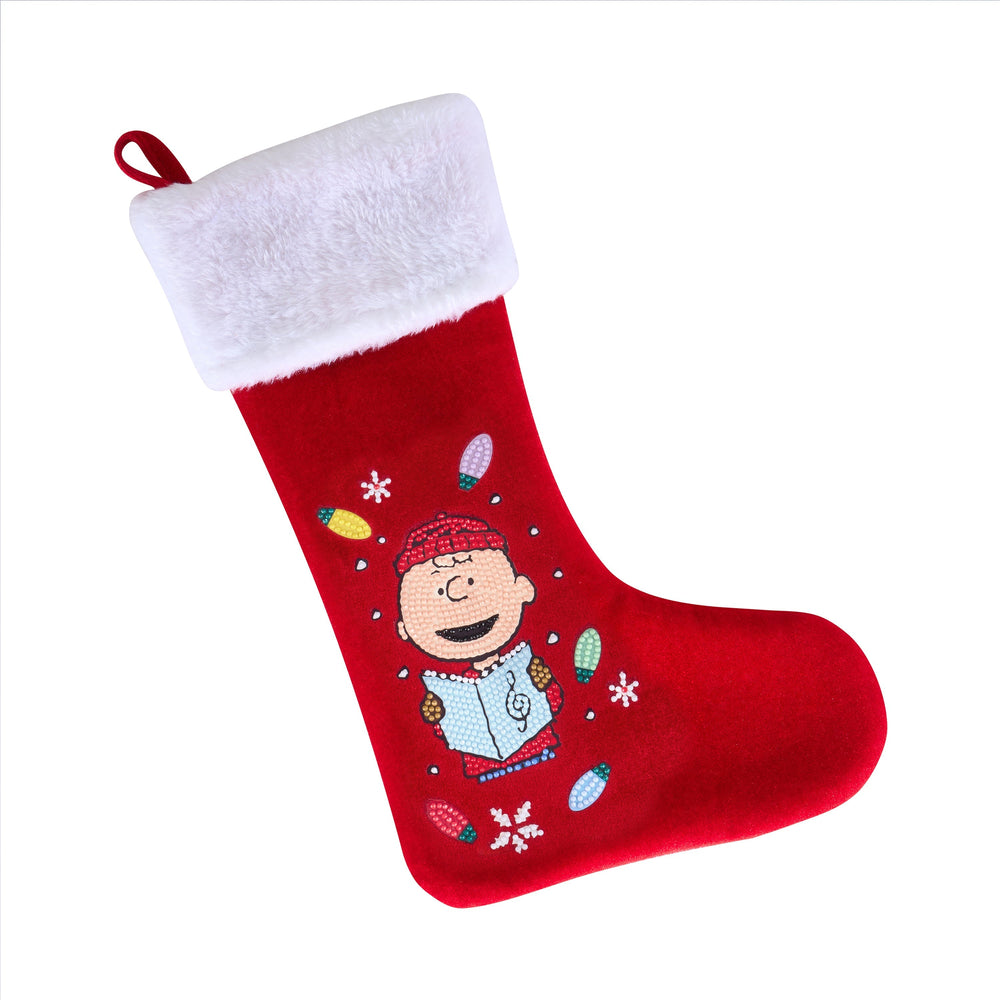 Christmas Stocking - Charlie Brown™ Christmas Carols X8