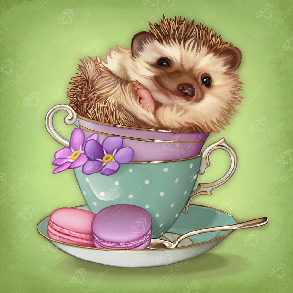 Hedgehog B1