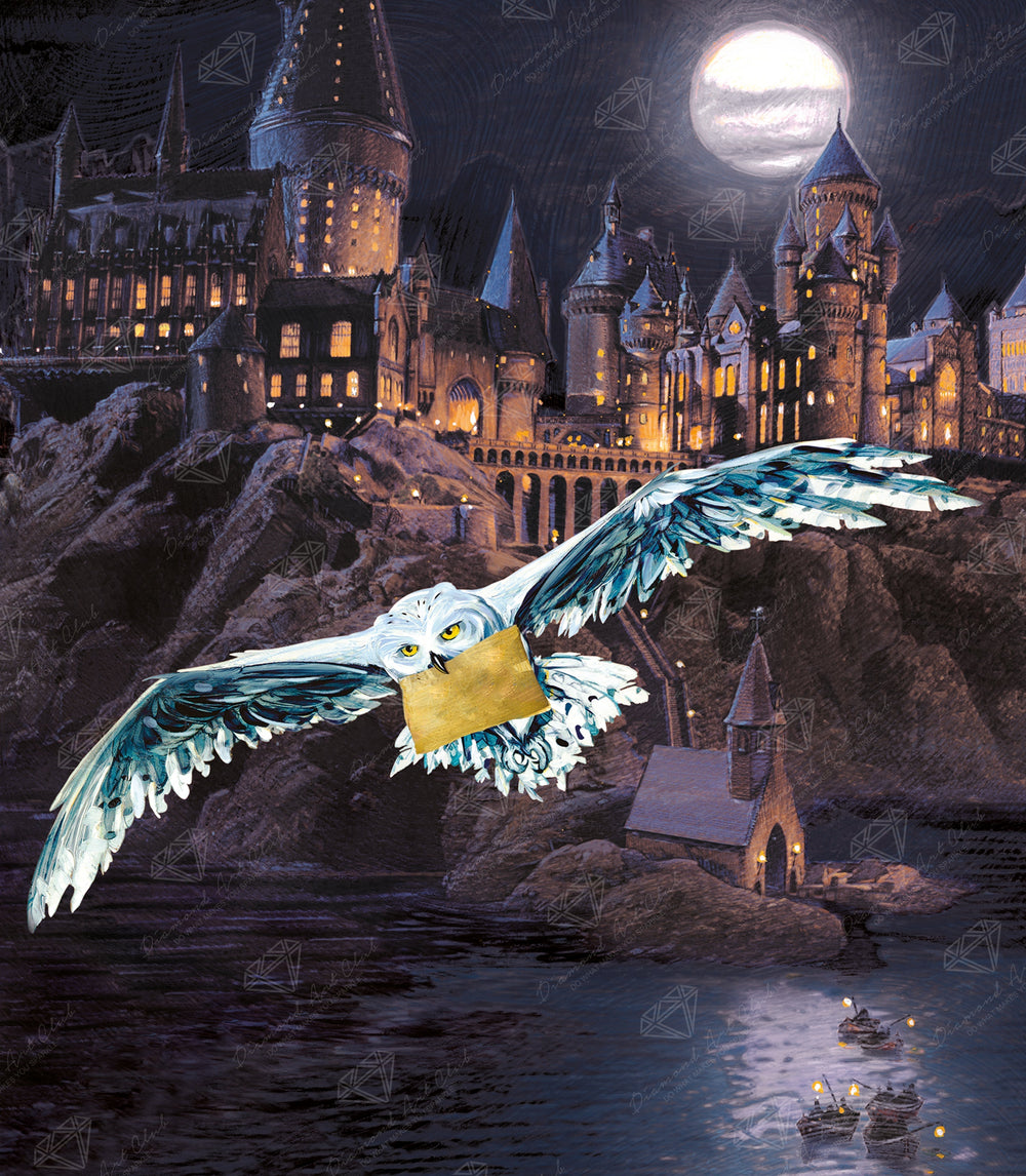 Hogwarts™ and Hedwig™ V0