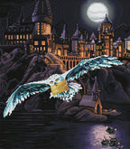 Hogwarts™ and Hedwig™
