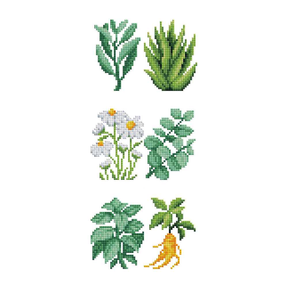 Mini Dazzles™ - Herbs & Medicinal Plants Q1