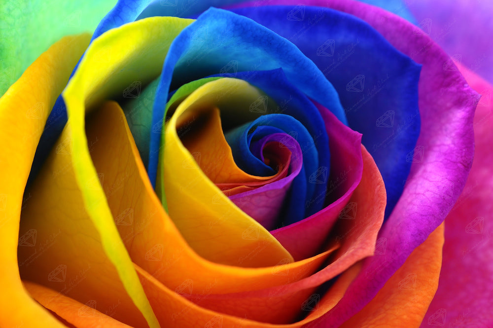 Rainbow Flower Petals B2
