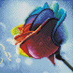 Rainbow Rose