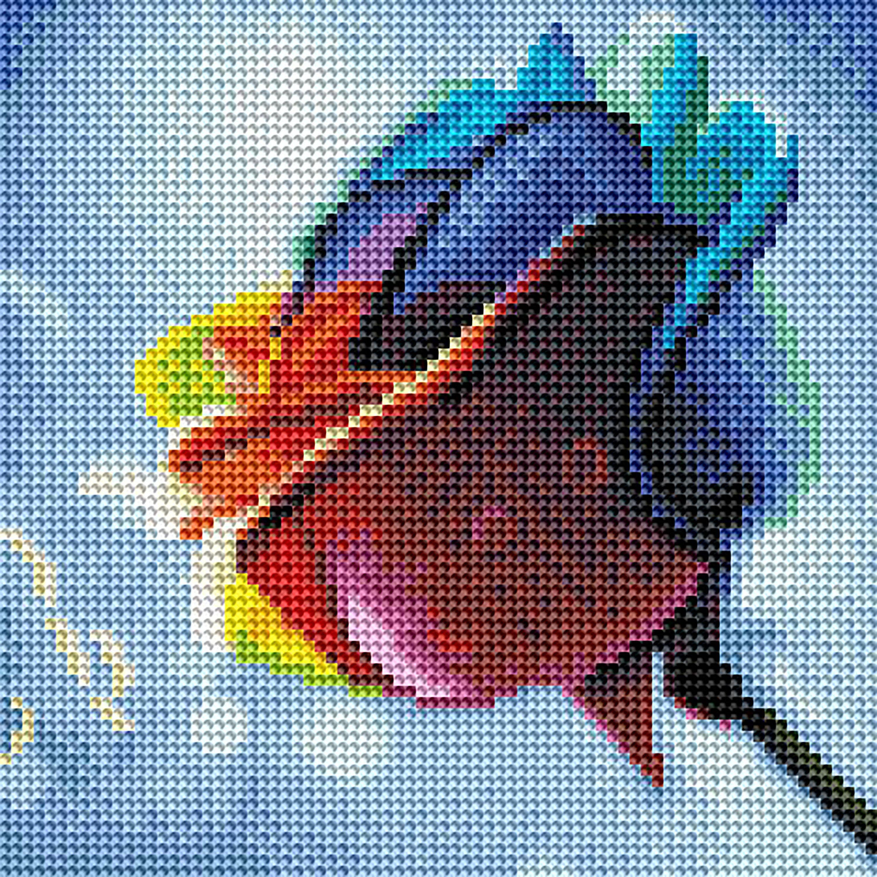 Rainbow Rose