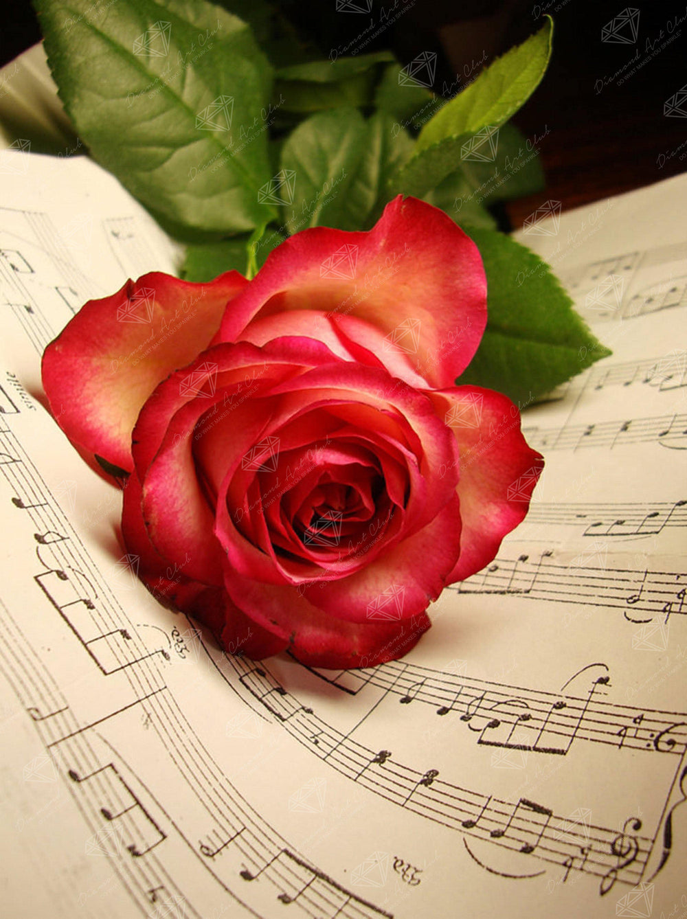 Rose Music Sheet R3