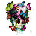 Soul's Colors