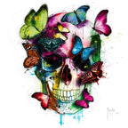 Soul's Colors