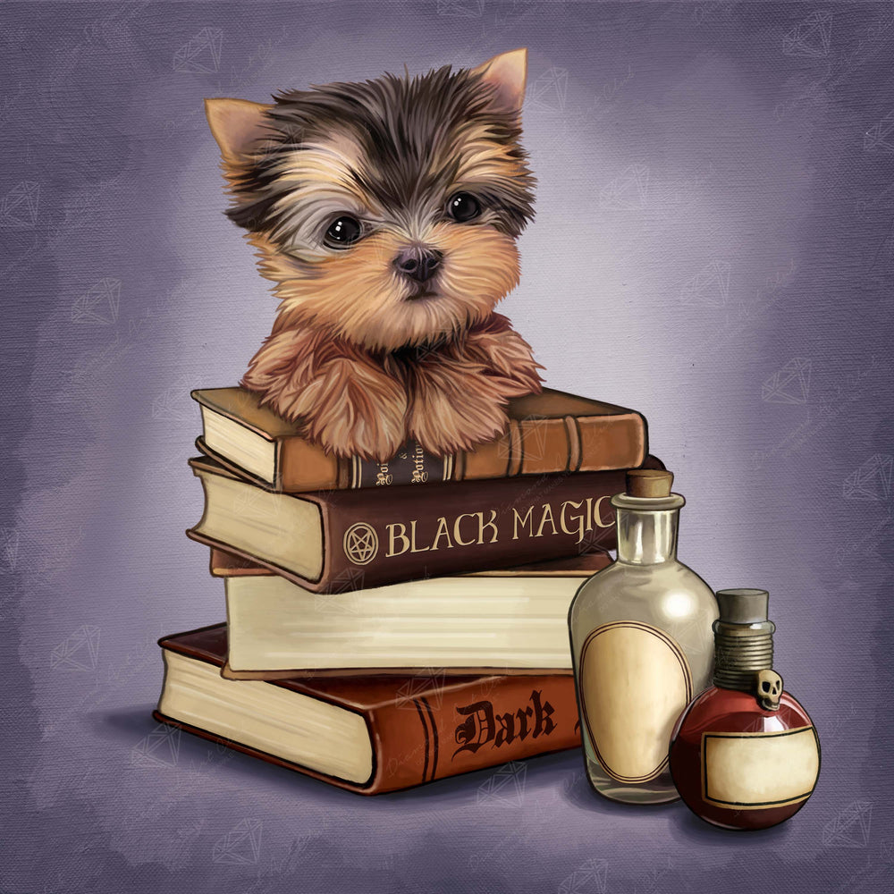 Yorkie & Magic Books C5