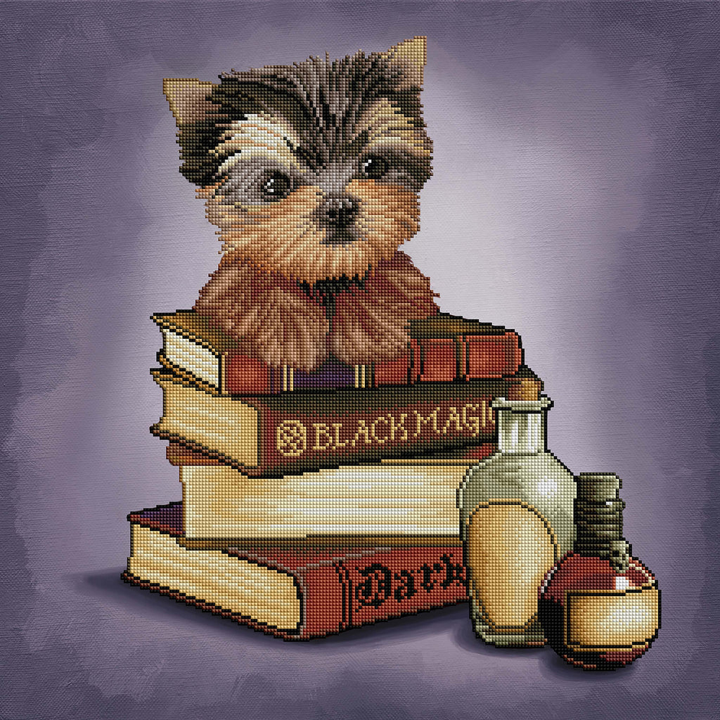 Yorkie & Magic Books