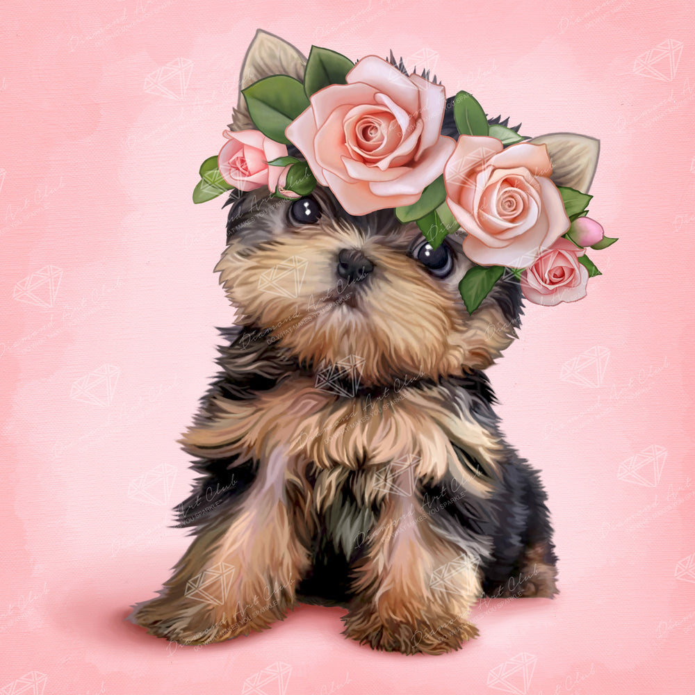 Yorkie & Roses V1