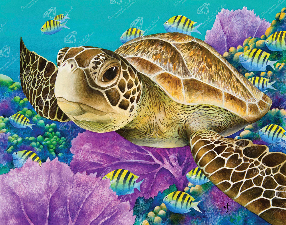 Young Green Sea Turtle A3